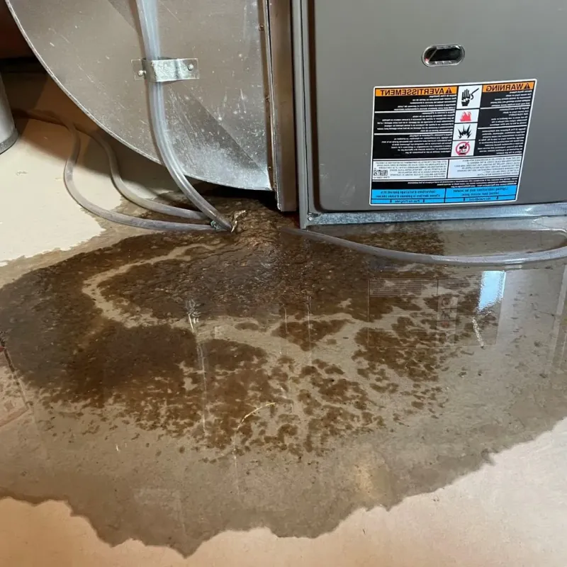 Pipe Burst and Leak Restoration in New Castle County, DE